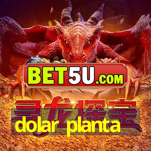 dolar planta